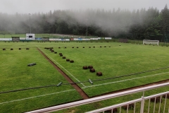 IMG-20200529-WA0008-1